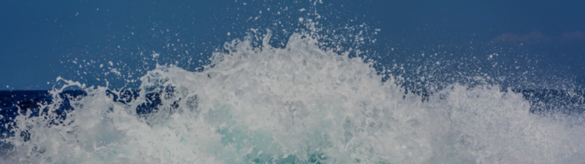 Banner-640x200_bf250-2 banner