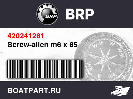 Изображение товара Screw-allen m6 x 65
