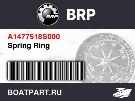 Изображение товара Spring Ring