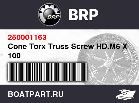 Изображение товара Cone Torx Truss Screw HD.M6 X 100