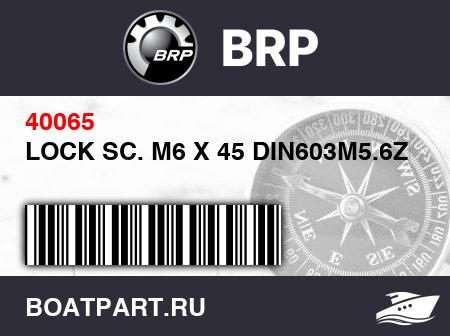 Изображение товара LOCK SC. M6 X 45 DIN603M5.6ZNE