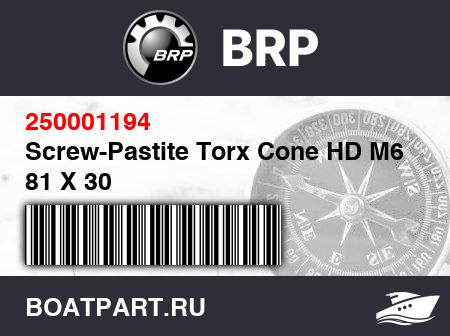 Изображение товара Screw-Pastite Torx Cone HD M6 81 X 30