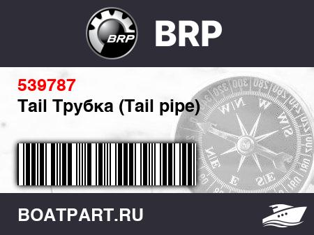 Изображение товара Tail Трубка (Tail pipe)
