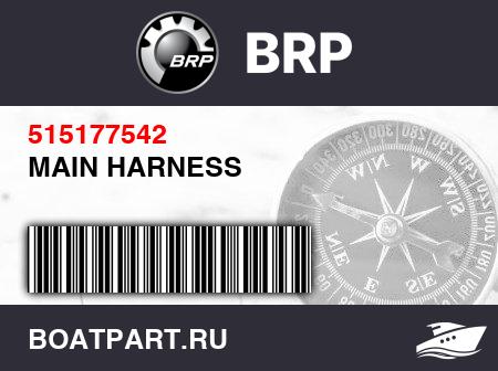 Изображение товара MAIN HARNESS