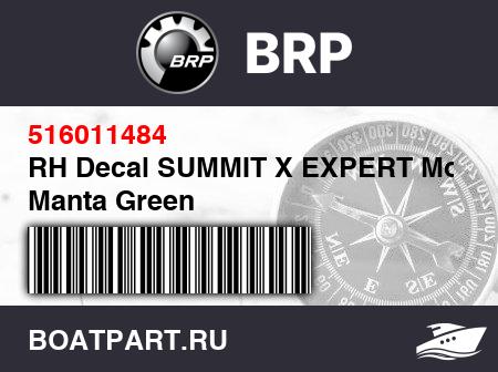 Изображение товара RH Decal SUMMIT X EXPERT Model Manta Green