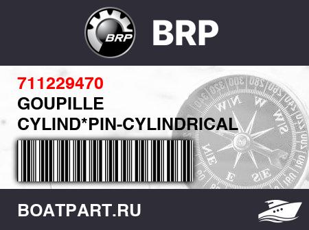 Изображение товара GOUPILLE CYLIND*PIN-CYLINDRICAL