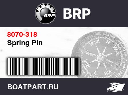 Изображение товара Spring Pin