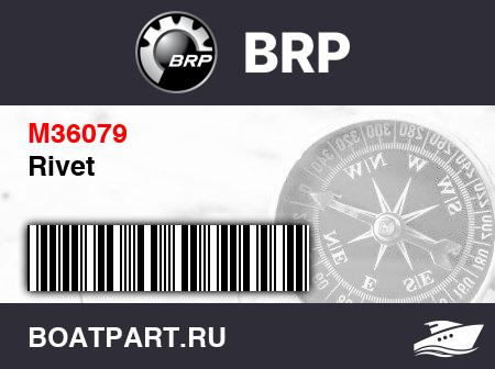 Изображение товара Rivet