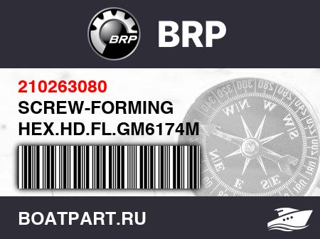 Изображение товара SCREW-FORMING HEX.HD.FL.GM6174M