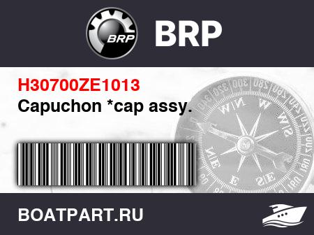 Изображение товара Capuchon *cap assy.