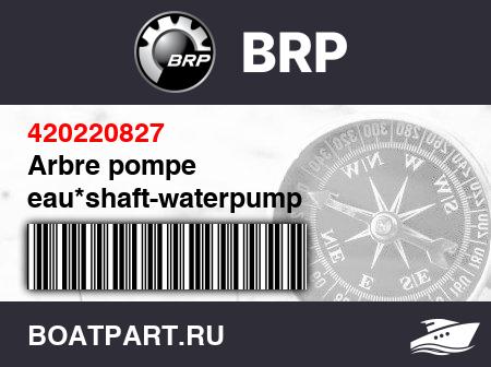 Изображение товара Arbre pompe eau*shaft-waterpump