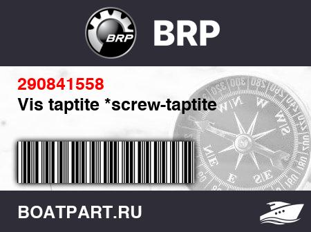 Изображение товара Vis taptite *screw-taptite