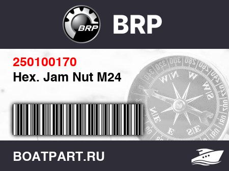 Изображение товара Hex. Jam Nut M24