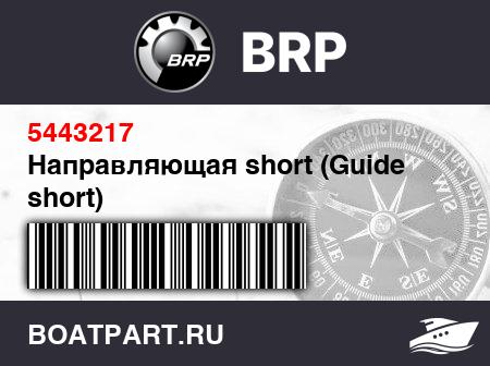 Изображение товара Направляющая short (Guide short)