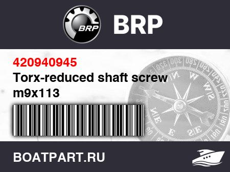 Изображение товара Torx-reduced shaft screw m9x113