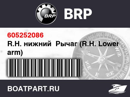 Изображение товара R.H. нижний  Рычаг (R.H. Lower arm)