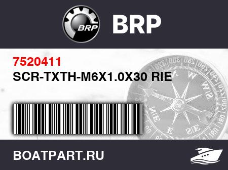 Изображение товара SCR-TXTH-M6X1.0X30 RIE