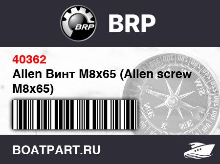 Изображение товара Allen Винт M8x65 (Allen screw M8x65)