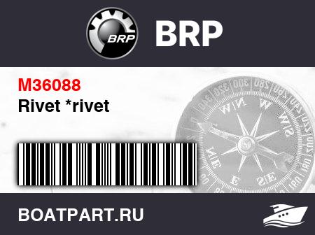 Изображение товара Rivet *rivet