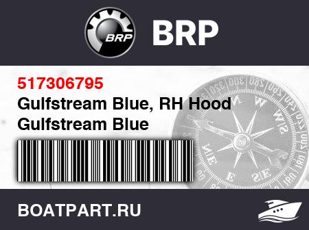 Изображение товара Gulfstream Blue, RH Hood Gulfstream Blue