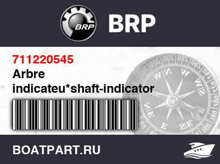Изображение товара Arbre indicateu*shaft-indicator