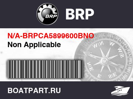 Изображение товара Non Applicable