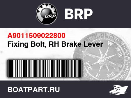 Изображение товара Fixing Bolt, RH Brake Lever
