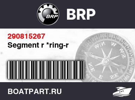 Изображение товара Segment r *ring-r