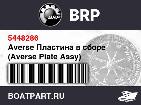 Изображение товара Averse Пластина в сборе (Averse Plate Assy)