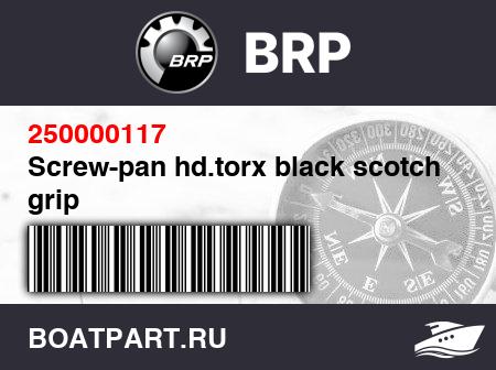 Изображение товара Screw-pan hd.torx black scotch grip