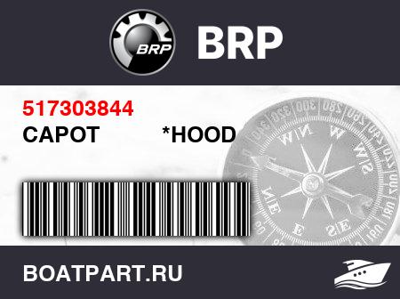 Изображение товара CAPOT          *HOOD