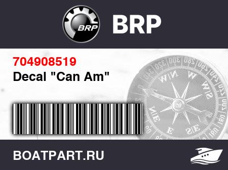 Изображение товара Decal "Can Am"
