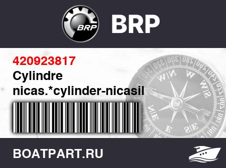 Изображение товара Cylindre nicas.*cylinder-nicasil