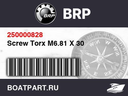 Изображение товара Screw Torx M6.81 X 30