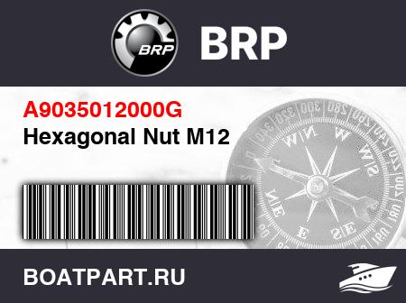 Изображение товара Hexagonal Nut M12