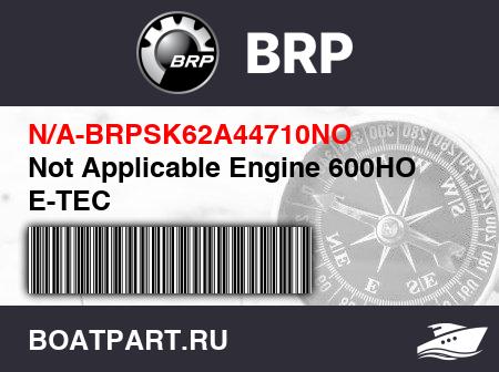 Изображение товара Not Applicable Engine 600HO E-TEC