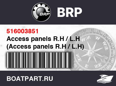 Изображение товара Access panels R.H / L.H (Access panels R.H / L.H)