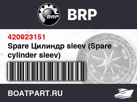 Изображение товара Spare Цилиндр sleev (Spare cylinder sleev)