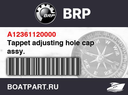 Изображение товара Tappet adjusting hole cap assy.