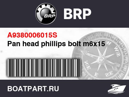 Изображение товара Pan head phillips bolt m6x15