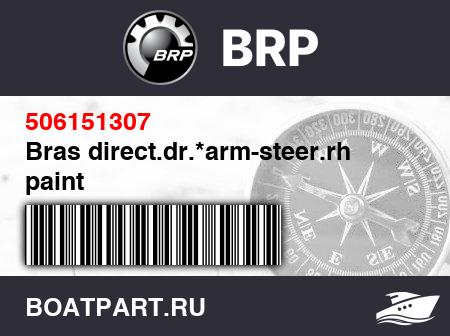 Изображение товара Bras direct.dr.*arm-steer.rh paint