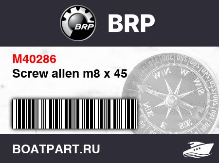 Изображение товара Screw allen m8 x 45