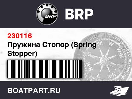 Изображение товара Пружина Стопор (Spring Stopper)