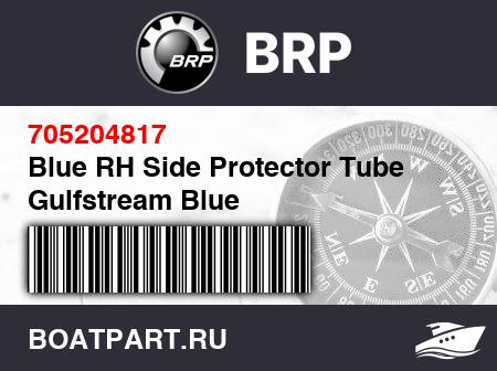 Изображение товара Blue RH Side Protector Tube Gulfstream Blue