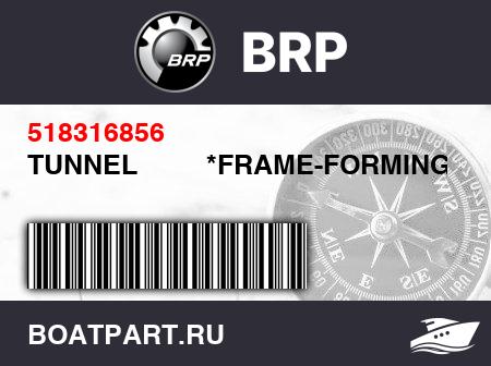 Изображение товара TUNNEL         *FRAME-FORMING