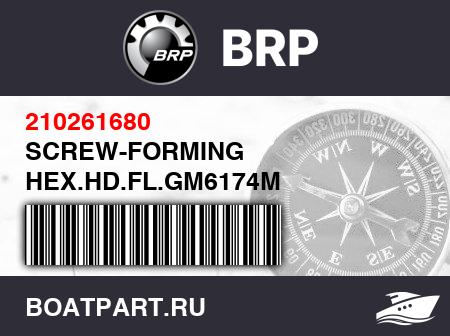 Изображение товара SCREW-FORMING HEX.HD.FL.GM6174M
