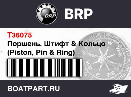 Изображение товара Поршень, Штифт & Кольцо (Piston, Pin & Ring)