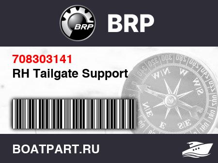 Изображение товара RH Tailgate Support