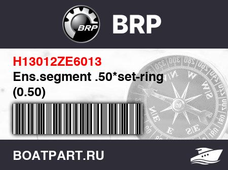 Изображение товара Ens.segment .50*set-ring (0.50)