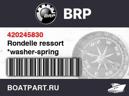 Изображение товара Rondelle ressort *washer-spring